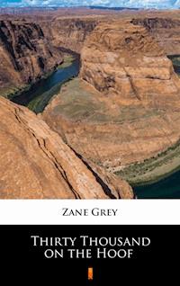 Thirty Thousand on the Hoof - Zane Grey - E-Book