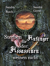 Sterben für Anfänger oder Assassinen weinen nicht - Sandra Busch - E-Book