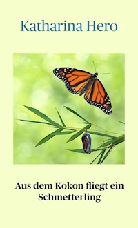 Aus dem Kokon fliegt ein Schmetterling - Katharina Hero - E-Book