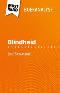 Blindheid van José Saramago (Boekanalyse) - Danny Dejonghe - E-Book