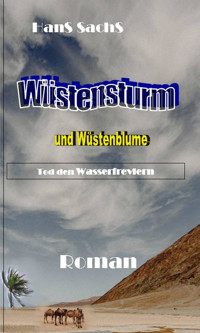 Wüstensturm - HanS SachS - E-Book