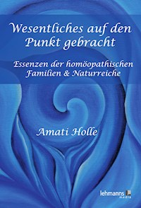 Wesentliches auf den Punkt gebracht - Amati Holle - E-Book