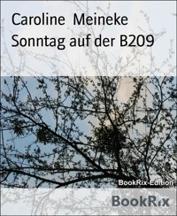 Sonntag auf der B209 - Caroline Meineke - kostenlos E-Book