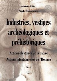 Industries, vestiges archéologiques et préhistoriques - Action aléatoire de la nature & Action intentionnelle de l’Homme - Volume VI - Nas E. Boutammina - E-Book