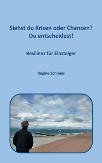 Siehst du Krisen oder Chancen? Du entscheidest! - Regine Schineis - E-Book