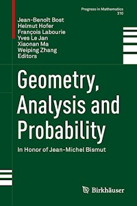 Geometry, Analysis and Probability -  - E-Book