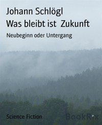 Was bleibt ist  Zukunft - Johann Schlögl - E-Book