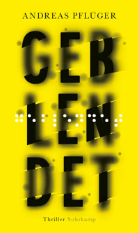 Geblendet - Andreas Pflüger - E-Book