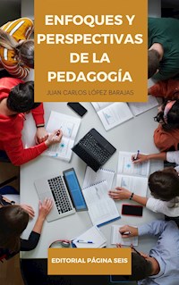 Enfoque y perspectivas de la pedagogía - Juan Carlos López Barajas - E-Book