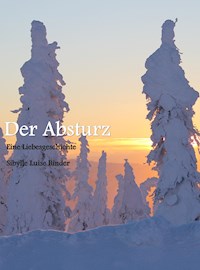 Der Absturz - Sibylle Luise Binder - E-Book