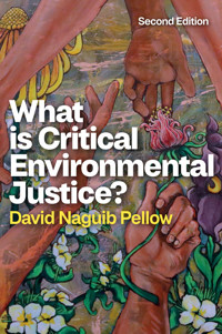 What is Critical Environmental Justice? - David Naguib Pellow - E-Book