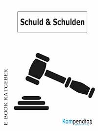 Schuld und Schulden - Daniela Nelz - E-Book