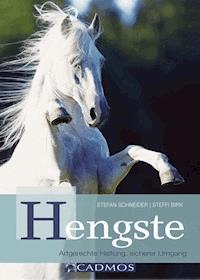 Hengste - Stefan Schneider - E-Book