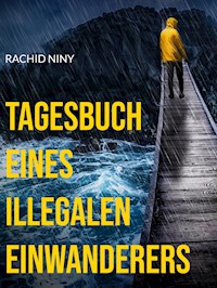 Tagesbuch eines illegalen Einwanderers - Rachid Niny - E-Book
