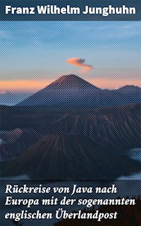 Rückreise von Java nach Europa mit der sogenannten englischen Überlandpost - Franz Wilhelm Junghuhn - E-Book