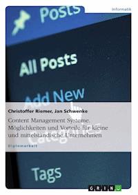 Content Management Systeme. Möglichkeiten und Vorteile für kleine und mittelständische Unternehmen - Christoffer Riemer - E-Book