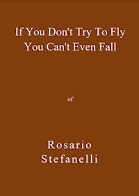 If You Don't Try To Fly You Can't Even Fall - Rosario Stefanelli - E-Book