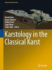 Karstology in the Classical Karst - - E-Book