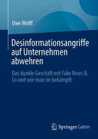 Desinformationsangriffe auf Unternehmen abwehren - Uwe Wolff - E-Book