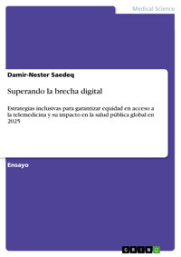 Superando la brecha digital - Saedeq Damir-Nester - E-Book