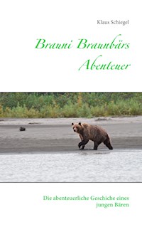 Brauni Braunbärs Abenteuer - Klaus Schiegel - E-Book
