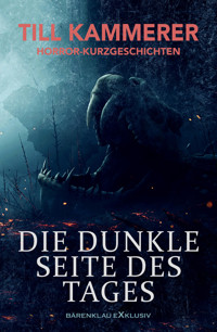 Die dunkle Seite des Tages – Horror-Kurzgeschichten - Till Kammerer - E-Book