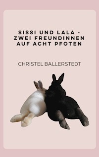 Sissi und Lala - Christel Ballerstedt - E-Book