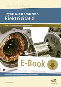 Physik selbst entdecken: Elektrizität 2 - Kerstin Neumann - E-Book