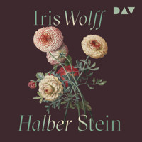 Halber Stein - Iris Wolff - Hörbuch
