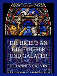 Die Briefe an die Epheser und Galater - Johannes Calvin - E-Book