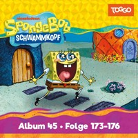 Folge 45 - Thomas Karallus - Hörbuch