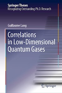 Correlations in Low-Dimensional Quantum Gases - Guillaume Lang - E-Book