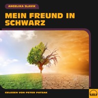 Mein Freund in Schwarz - Angelika Slavik - Hörbuch
