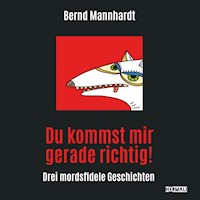 Du kommst mir gerade richtig! - Bernd Mannhardt - Hörbuch