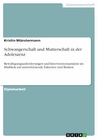 Schwangerschaft und Mutterschaft in der Adoleszenz - Kristin Münstermann - E-Book