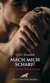 Mach mich scharf! Erotische Geschichten - Lucy Palmer - E-Book