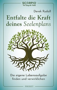 Entfalte die Kraft deines Seelenplans - Derek Rydall - E-Book