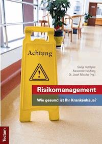 Risikomanagement - Sonja Holzäpfel - E-Book