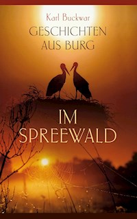Geschichten aus Burg im Spreewald - Karl Buckwar - E-Book