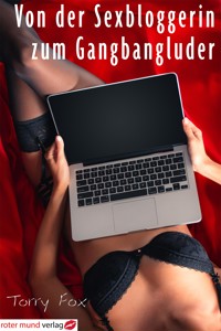 Von der Sexbloggerin zum Gangbangluder - Torry Fox - E-Book