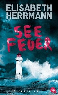 Seefeuer - Elisabeth Herrmann - E-Book
