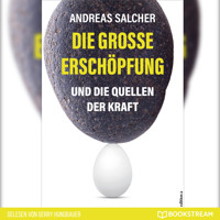 Die große Erschöpfung - Und die Quellen der Kraft (Ungekürzt) - Andreas Salcher - Hörbuch
