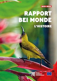 Rapport « BEI Monde – L'histoire » -  - kostenlos E-Book