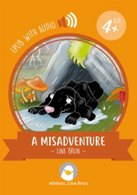 A Misadventure - Lina Brun - E-Book