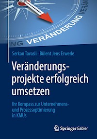 Veränderungsprojekte erfolgreich umsetzen - Serkan Tavasli - E-Book