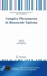 Complex Phenomena in Nanoscale Systems -  - E-Book