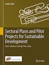 Sectoral Plans and Pilot Projects for Sustainable Development - Juanjo Galan - E-Book