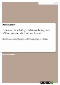 Das neue Beschäftigtendatenschutzgesetz – Was erwartet die Unternehmen? - Boris Kölpin - E-Book