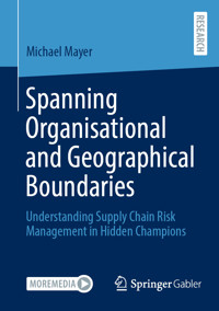 Spanning Organisational and Geographical Boundaries - Michael Mayer - E-Book