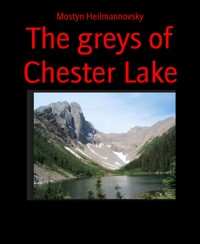 The greys of Chester Lake - Mostyn Heilmannovsky - E-Book